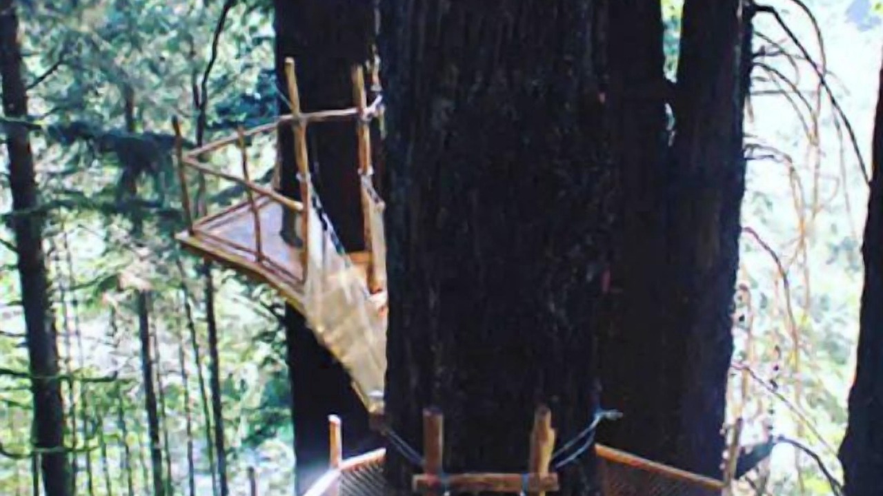 Photo of Others in Smith River