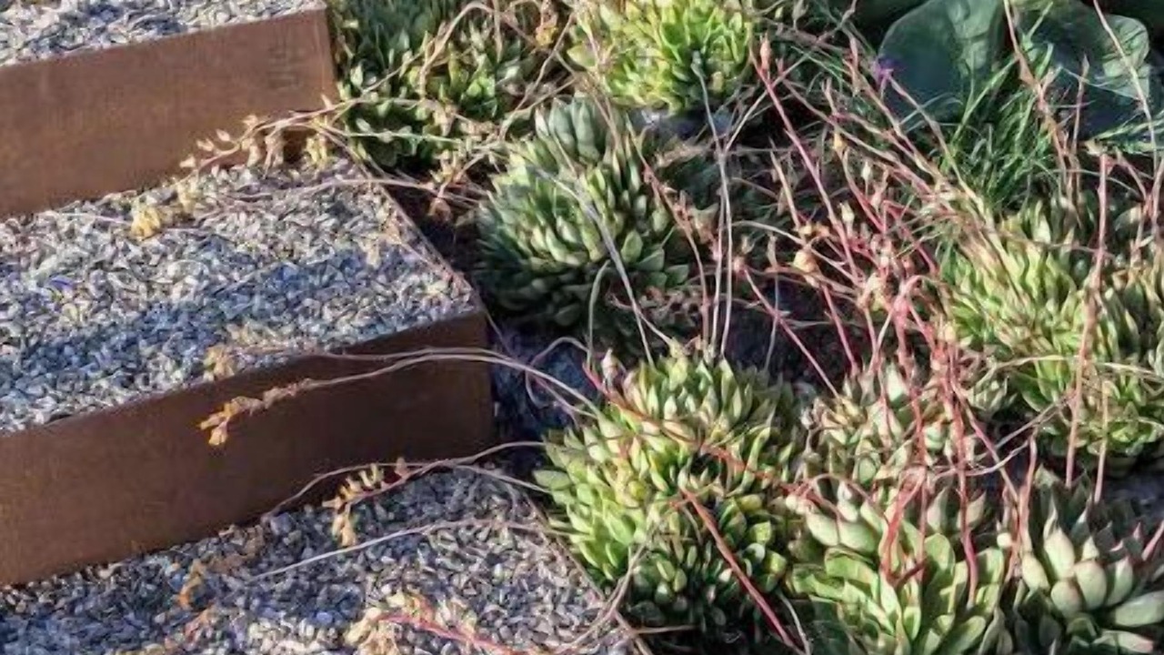 Photo of Outdoor in Point Reyes Station