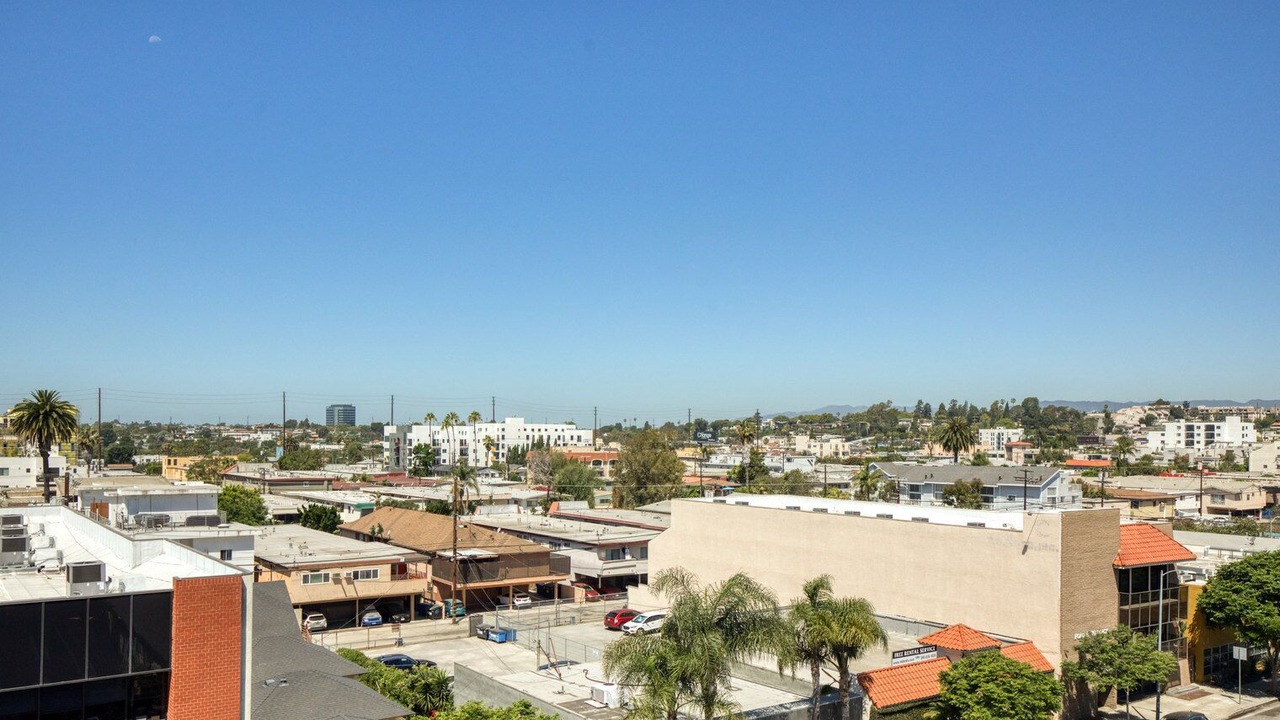Photo of Others in Palms