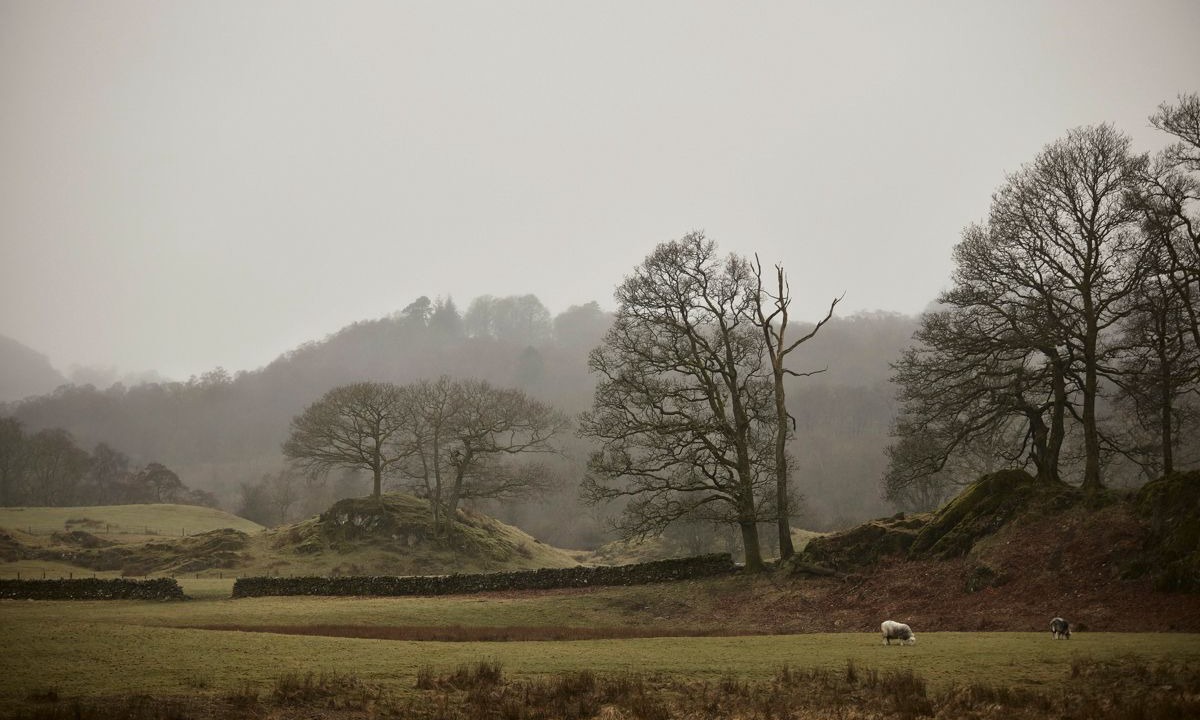 Photo of Others in Elterwater