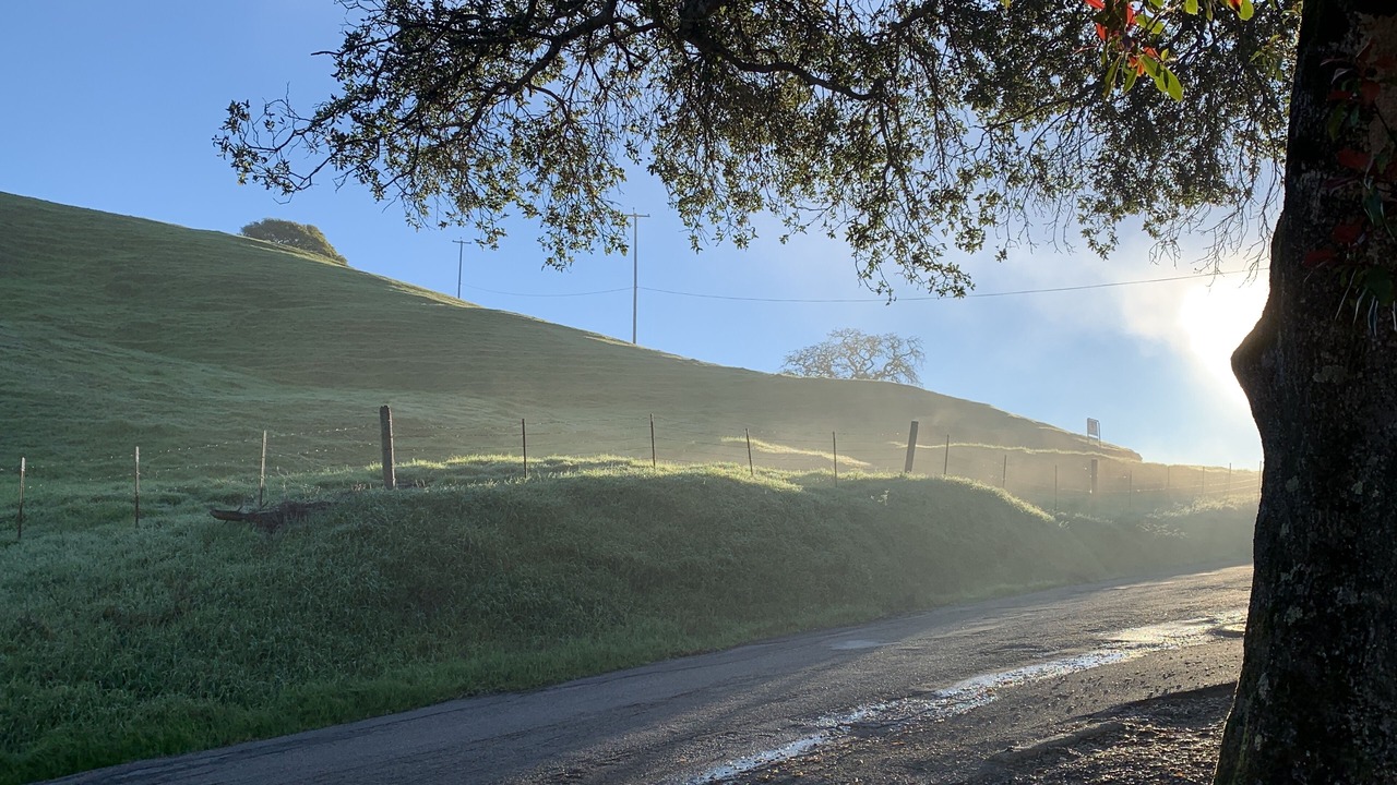 Photo of Others in Petaluma