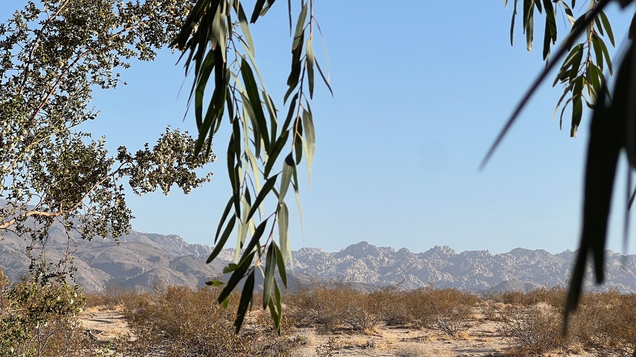 Photo of Others in Twentynine Palms