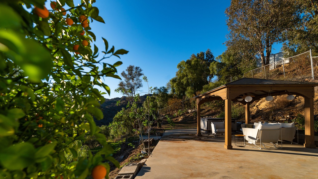 Photo of Patio Balcony in Canoga Park