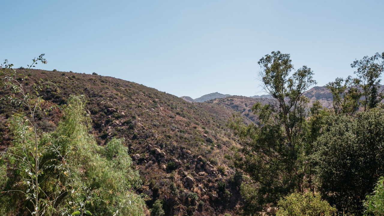 Photo of Others in Canoga Park