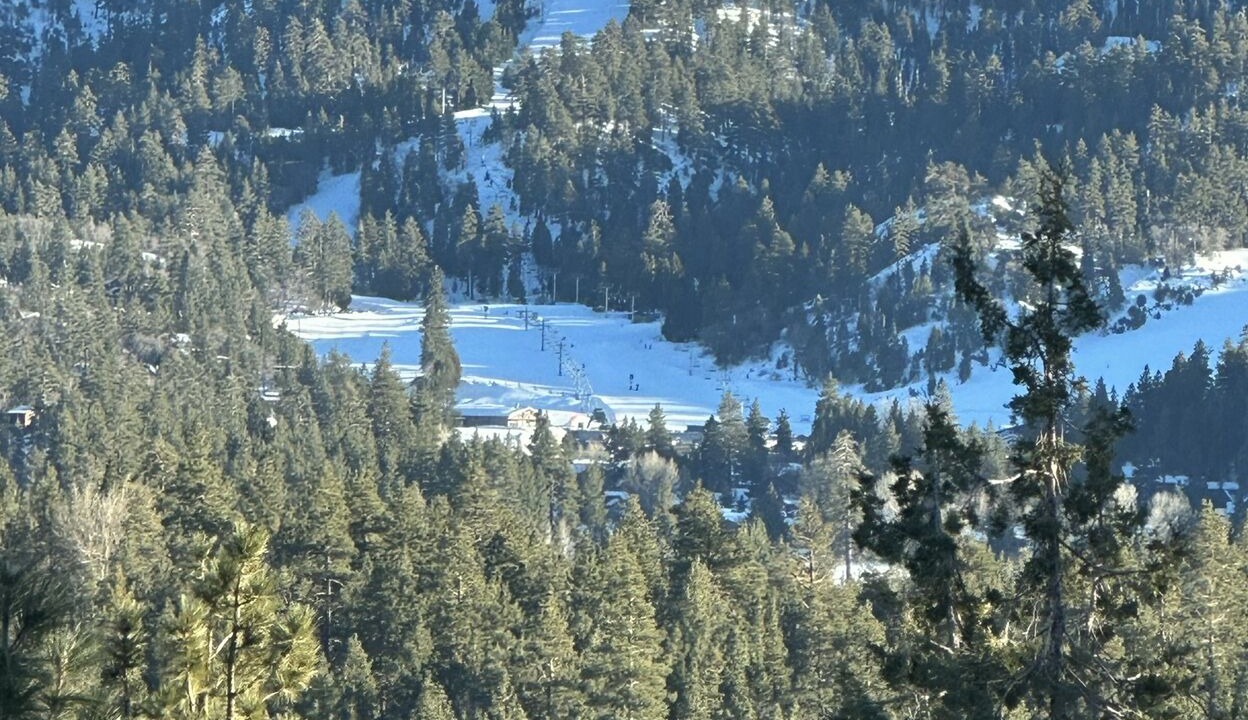 Photo of Others in Castle Glen Estates