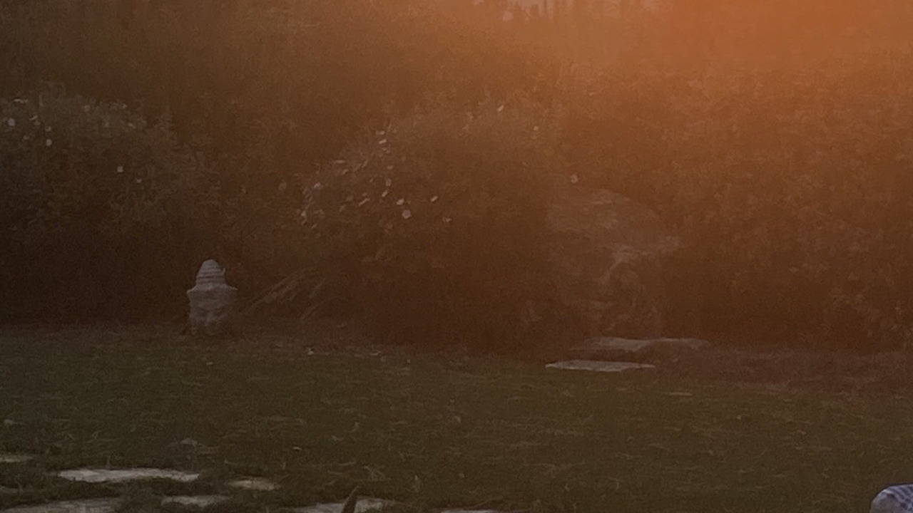 Photo of Others in Carmel Highlands