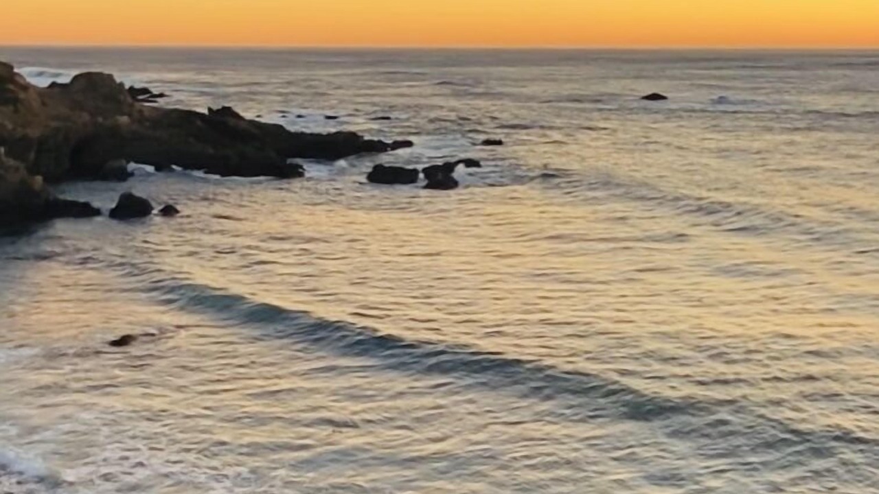 Photo of Others in Carmel Highlands