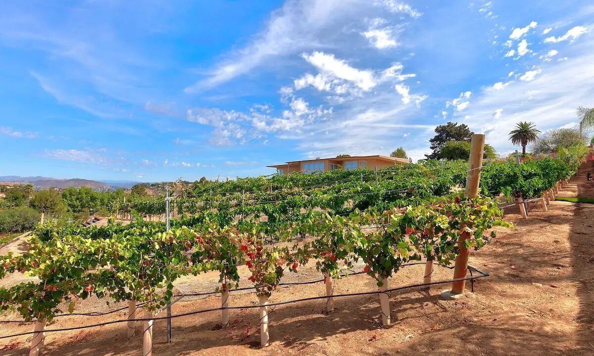 Photo of Outdoor in El Cajon