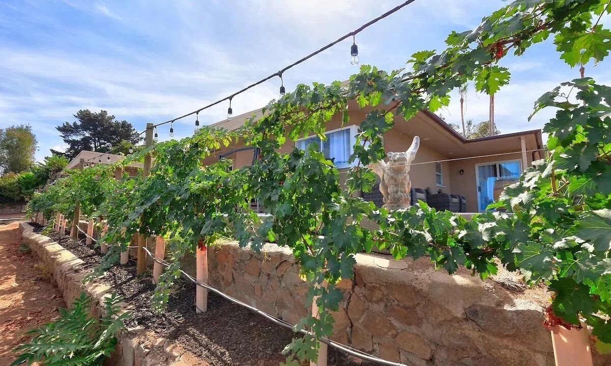 Photo of Outdoor in El Cajon