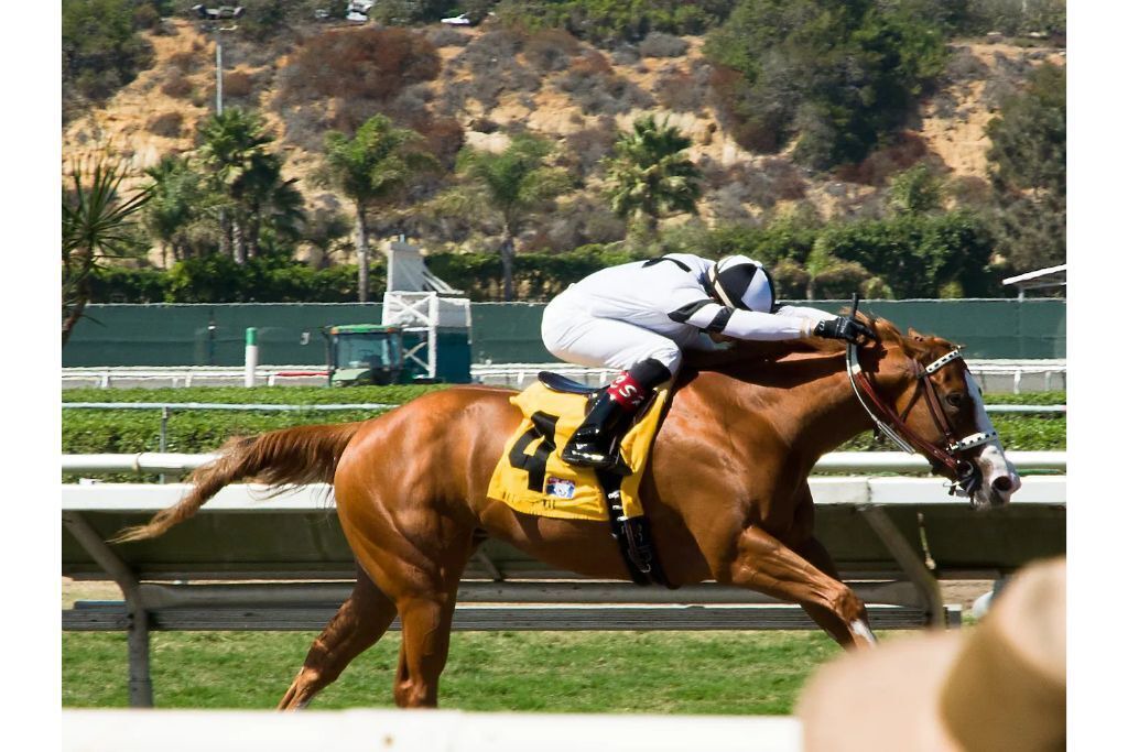 Photo of Others in Del Mar