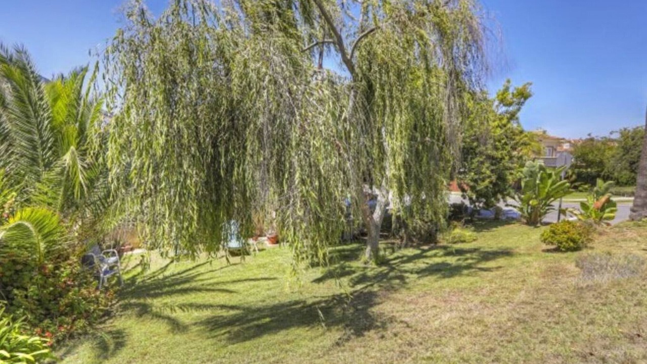 Photo of Outdoor in South Redondo