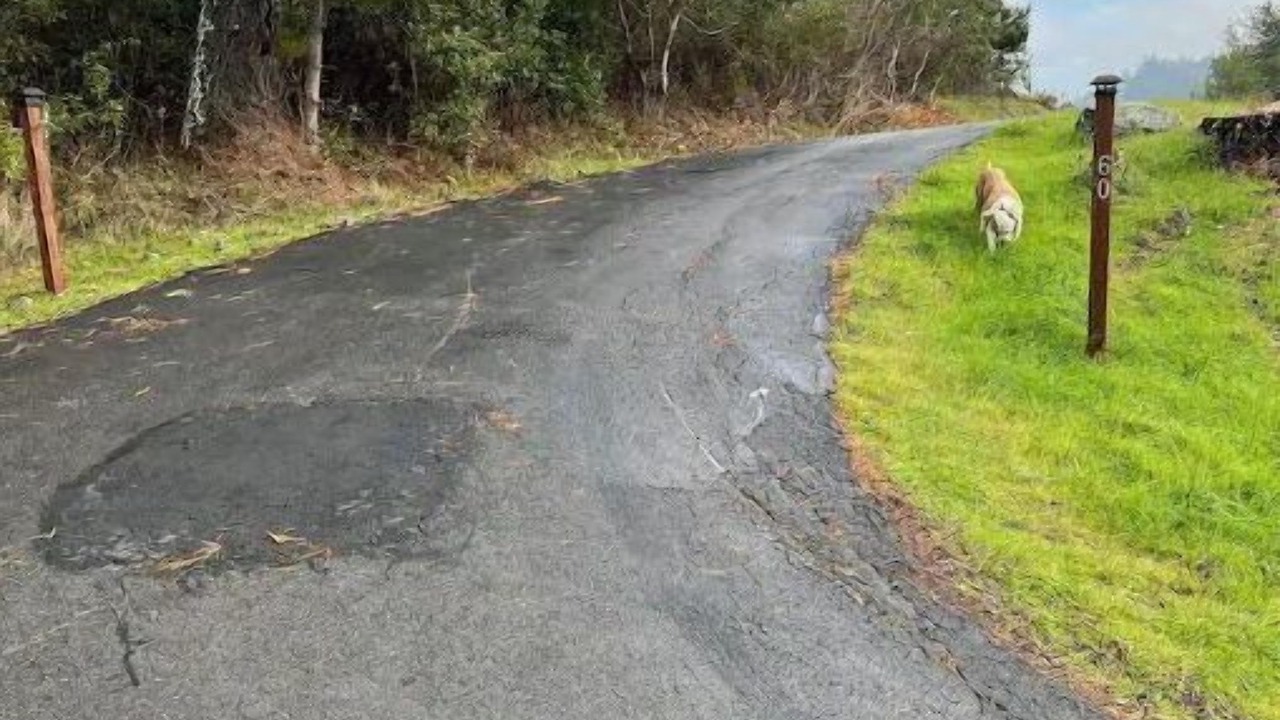 Photo of Outdoor in Nicasio