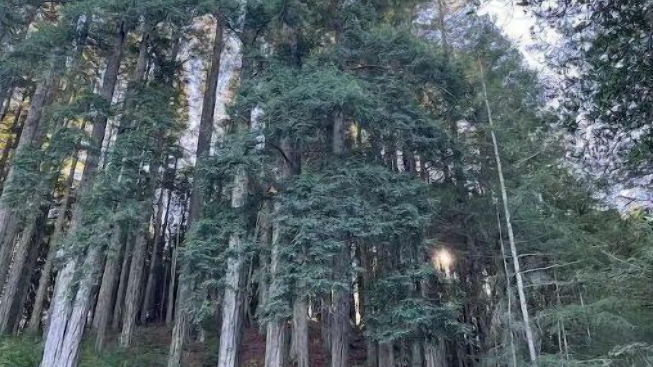 Photo of Others in Nicasio