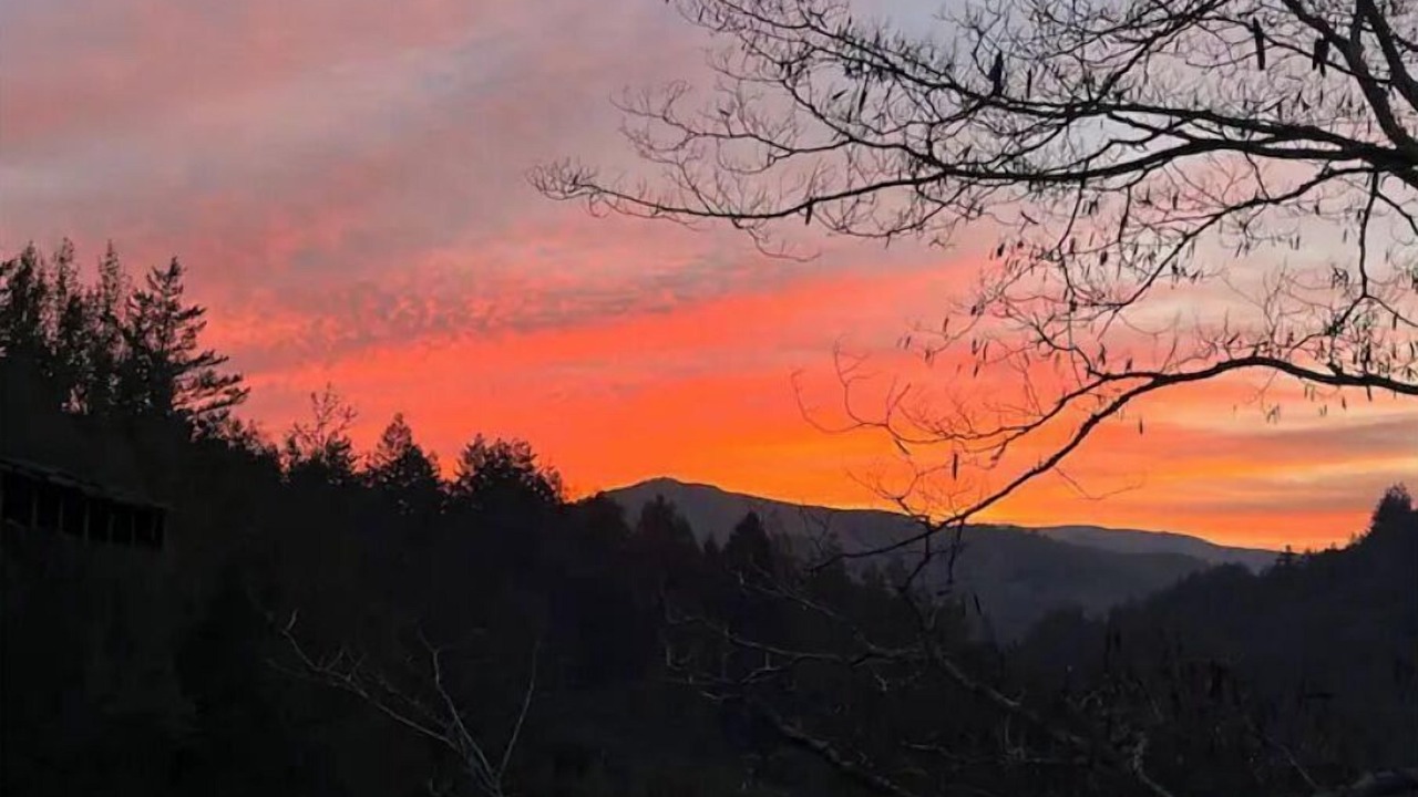 Photo of Others in Nicasio