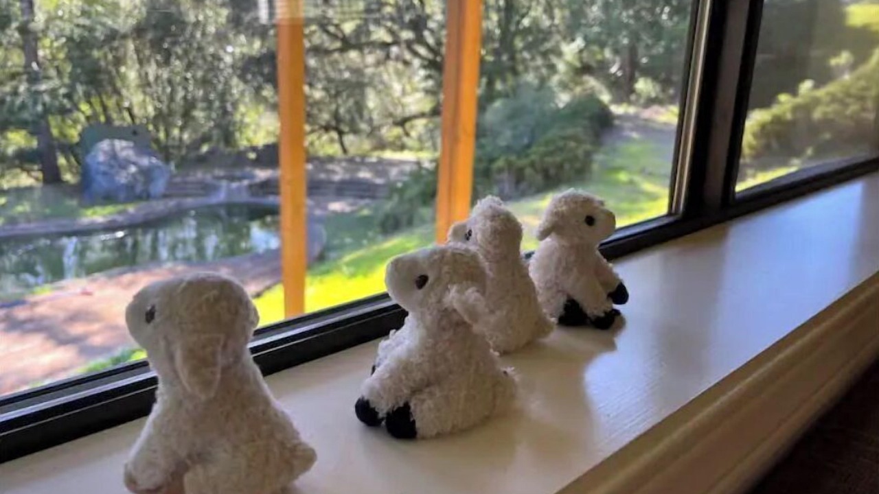 Photo of Others in Nicasio