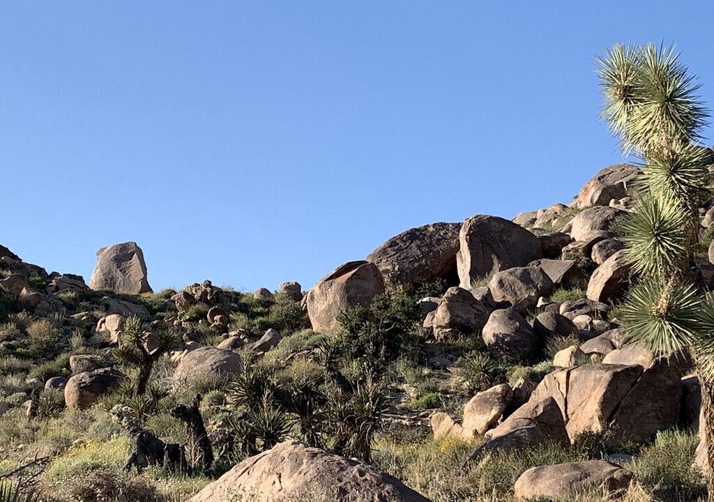 Photo of Others in Joshua Tree Highlands