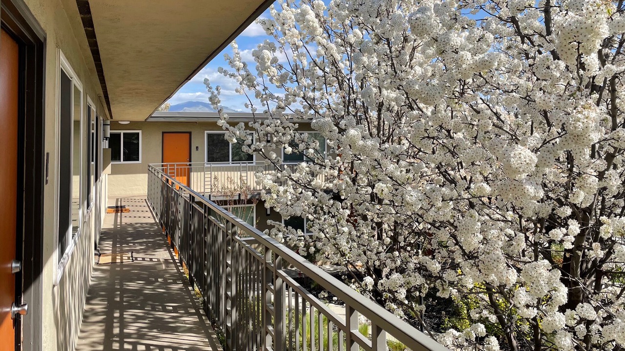 Photo of Outdoor in Walnut Creek
