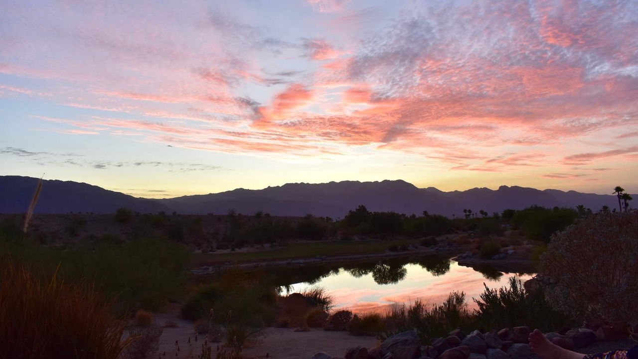 Photo of Others in Borrego Springs
