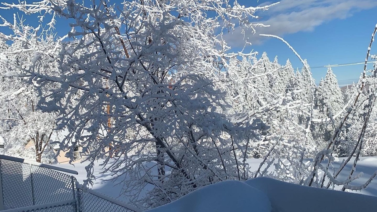 Photo of Outdoor in Running Springs