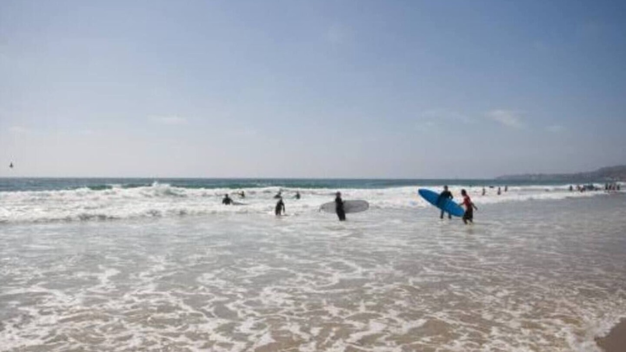 Photo of Others in South Mission Beach