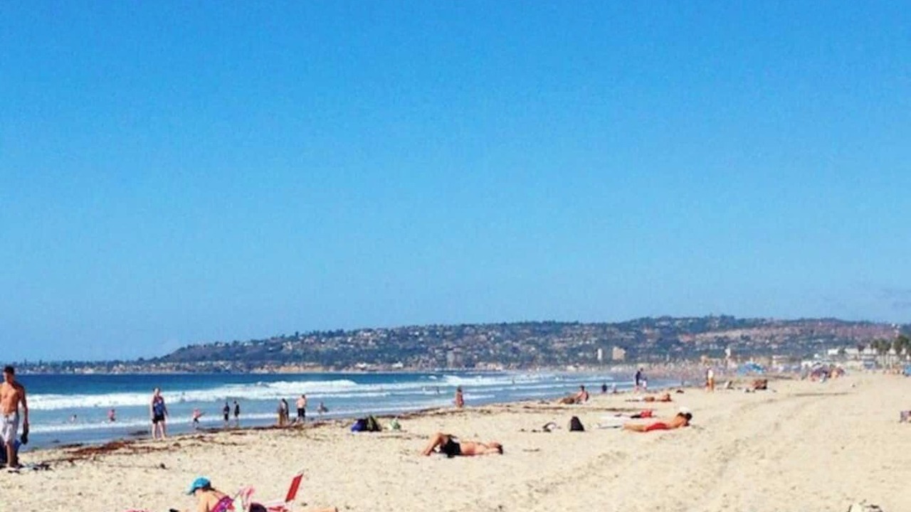 Photo of Others in South Mission Beach