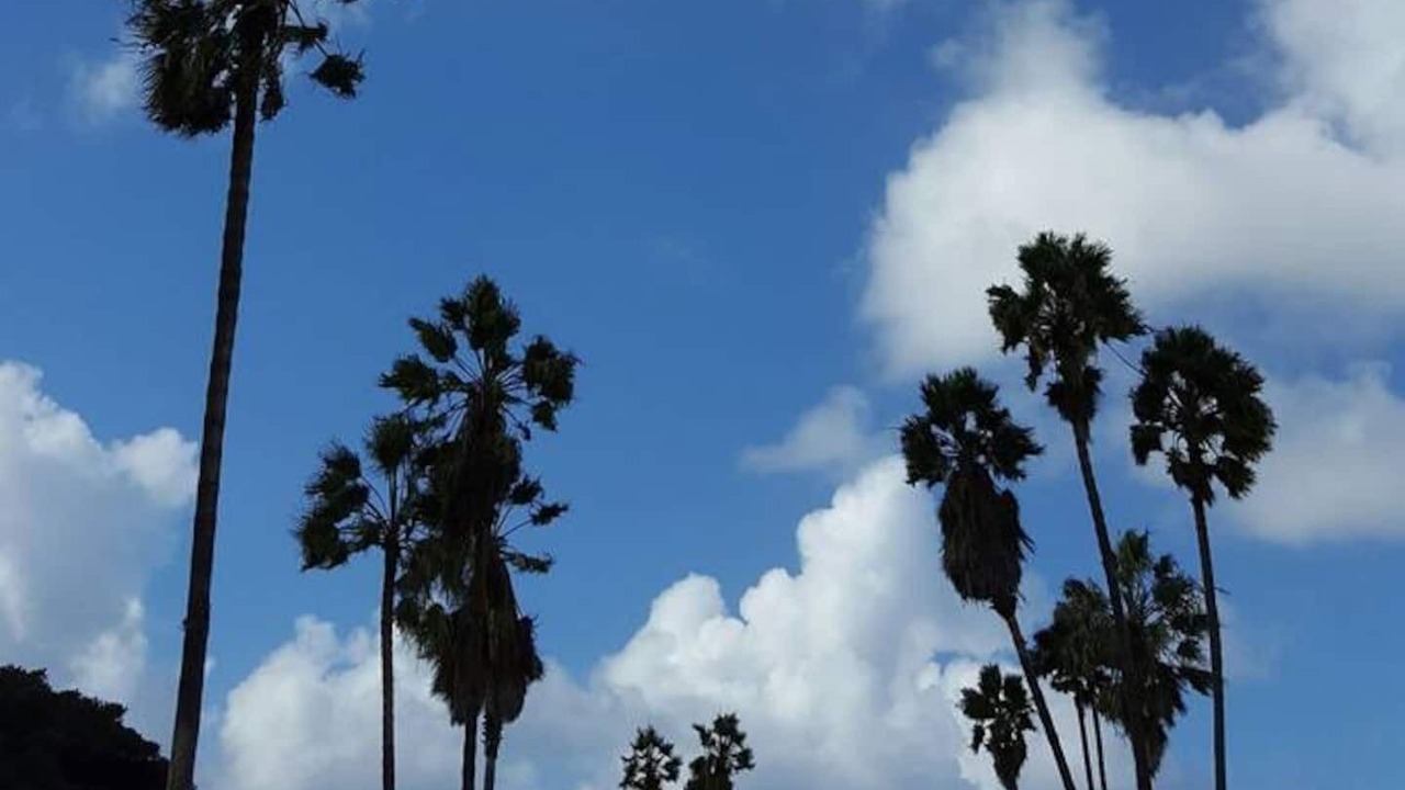 Photo of Others in South Mission Beach