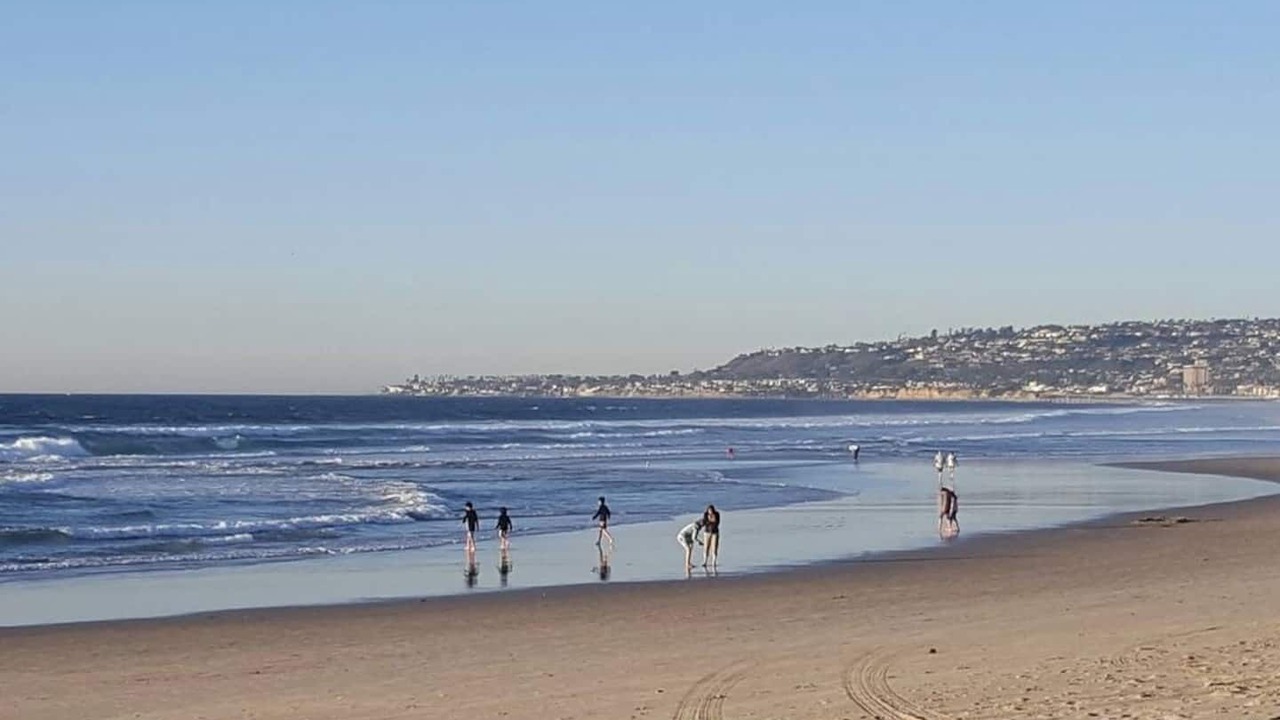Photo of Others in South Mission Beach