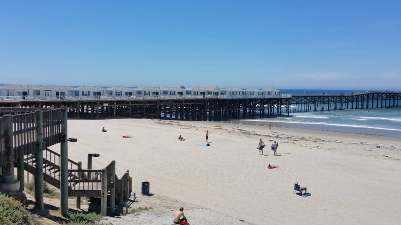 Photo of Others in South Mission Beach