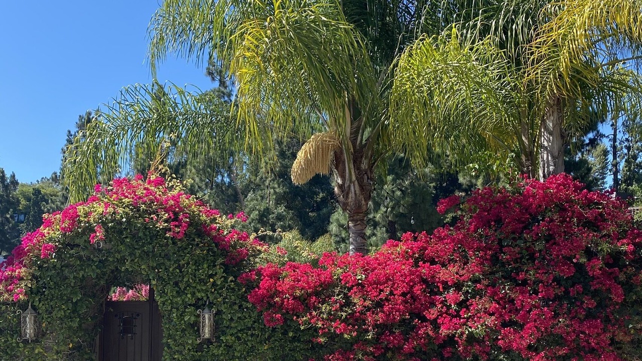 Photo of Outdoor in North Arroyo