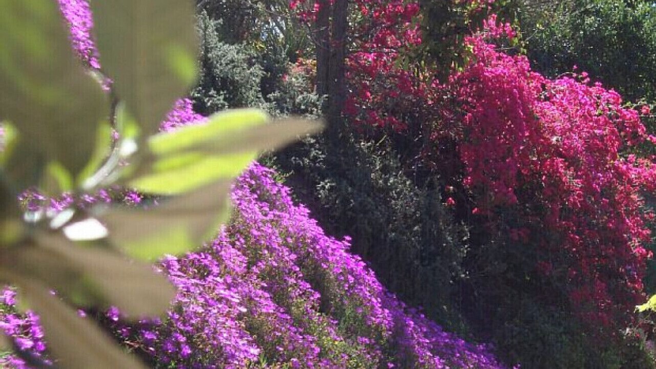 Photo of Outdoor in North Arroyo