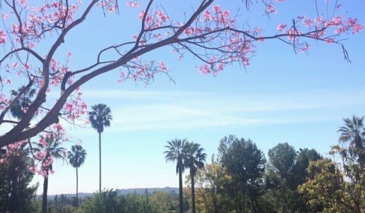 Photo of Others in Pasadena