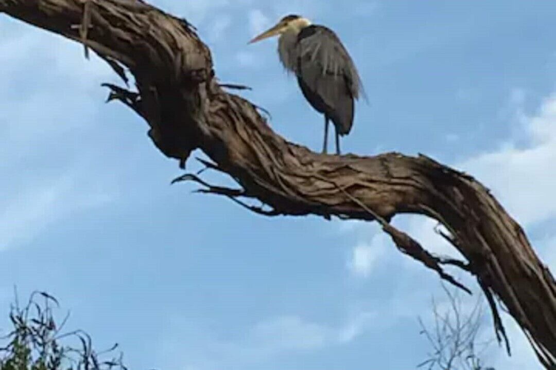 Photo of Others in Eastern Malibu