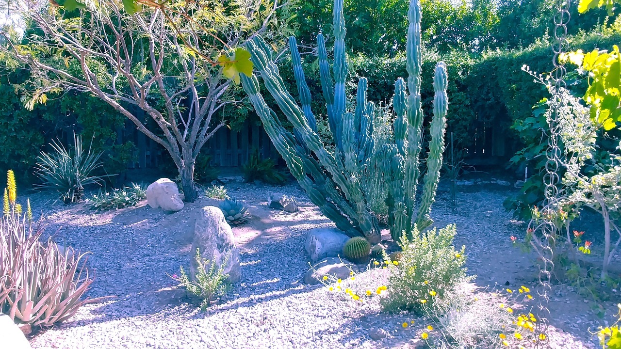 Photo of Outdoor in Sonora Sunrise