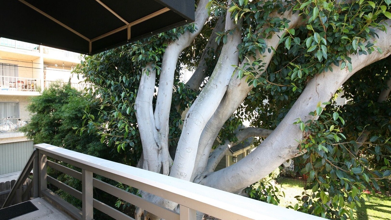 Photo of Others in Bluff Heights