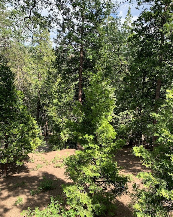 Photo of Outdoor in Lake Arrowhead