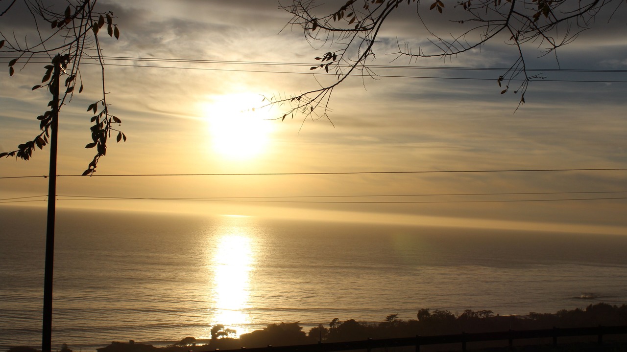 Photo of Others in Western Malibu