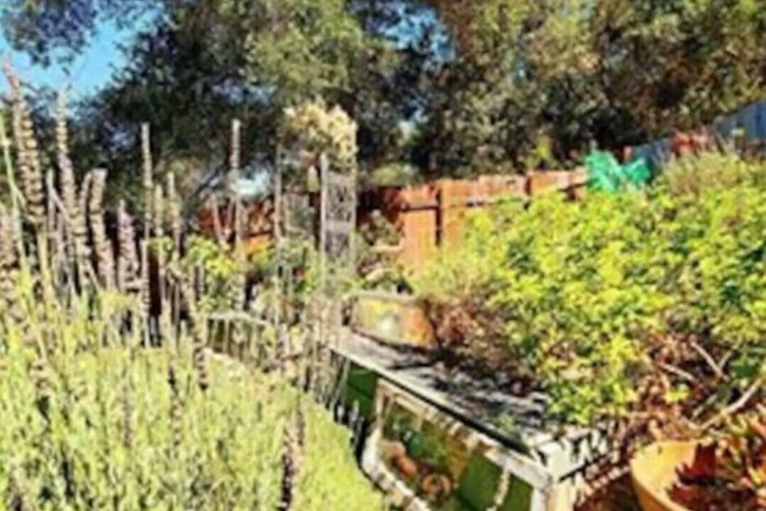 Photo of Outdoor in Fernwood