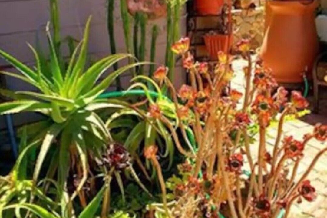 Photo of Outdoor in Fernwood