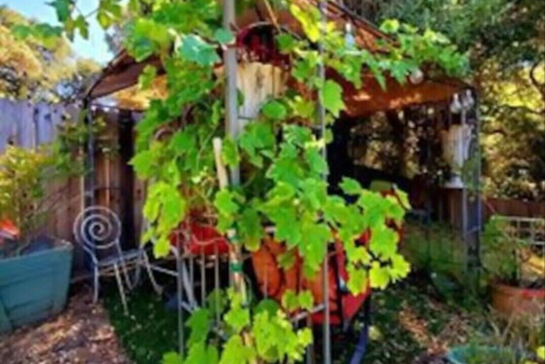 Photo of Outdoor in Fernwood