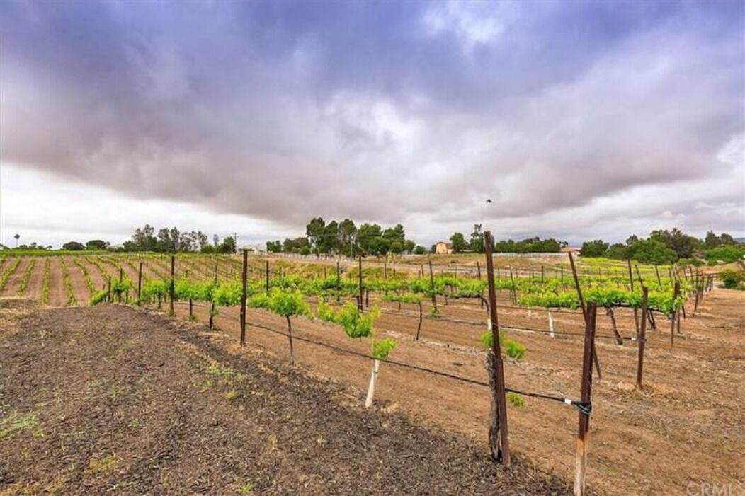 Photo of Others in Temecula