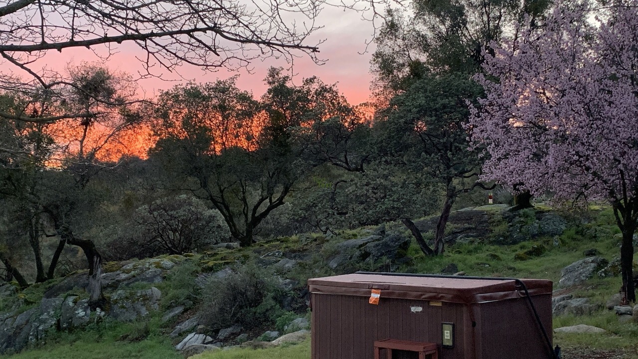 Photo of Others in Mariposa