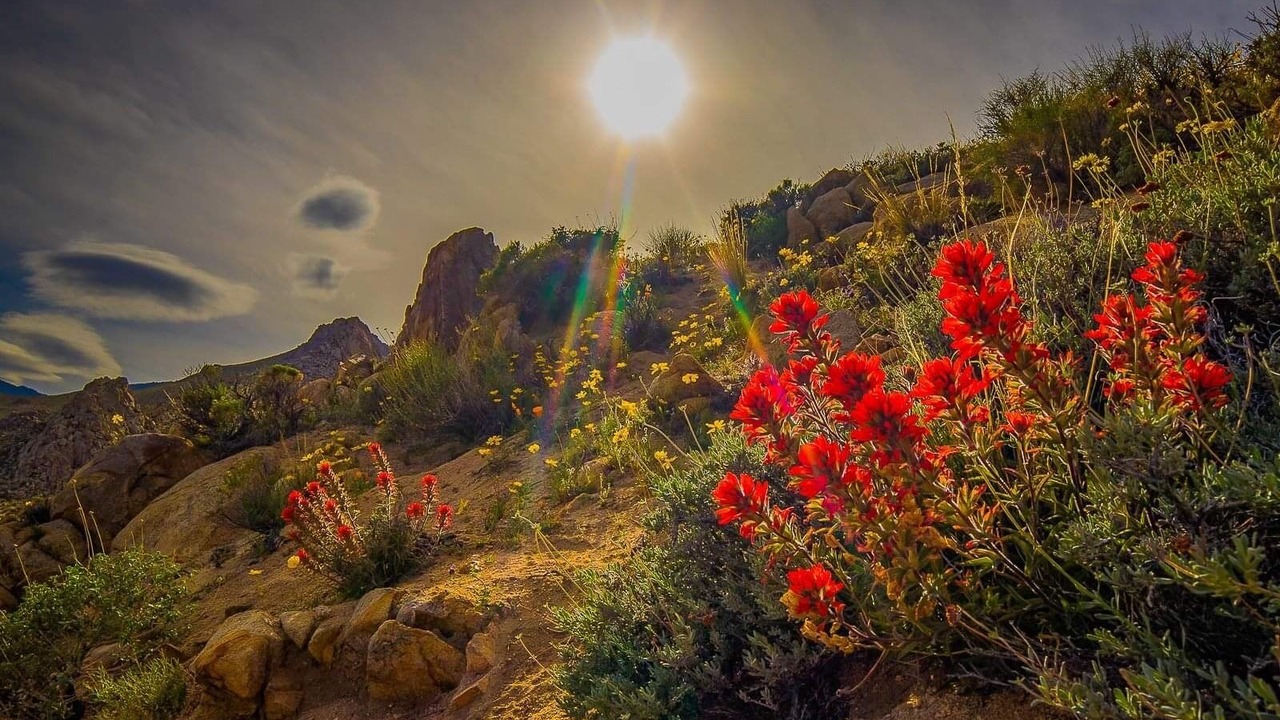 Photo of Others in Inyokern