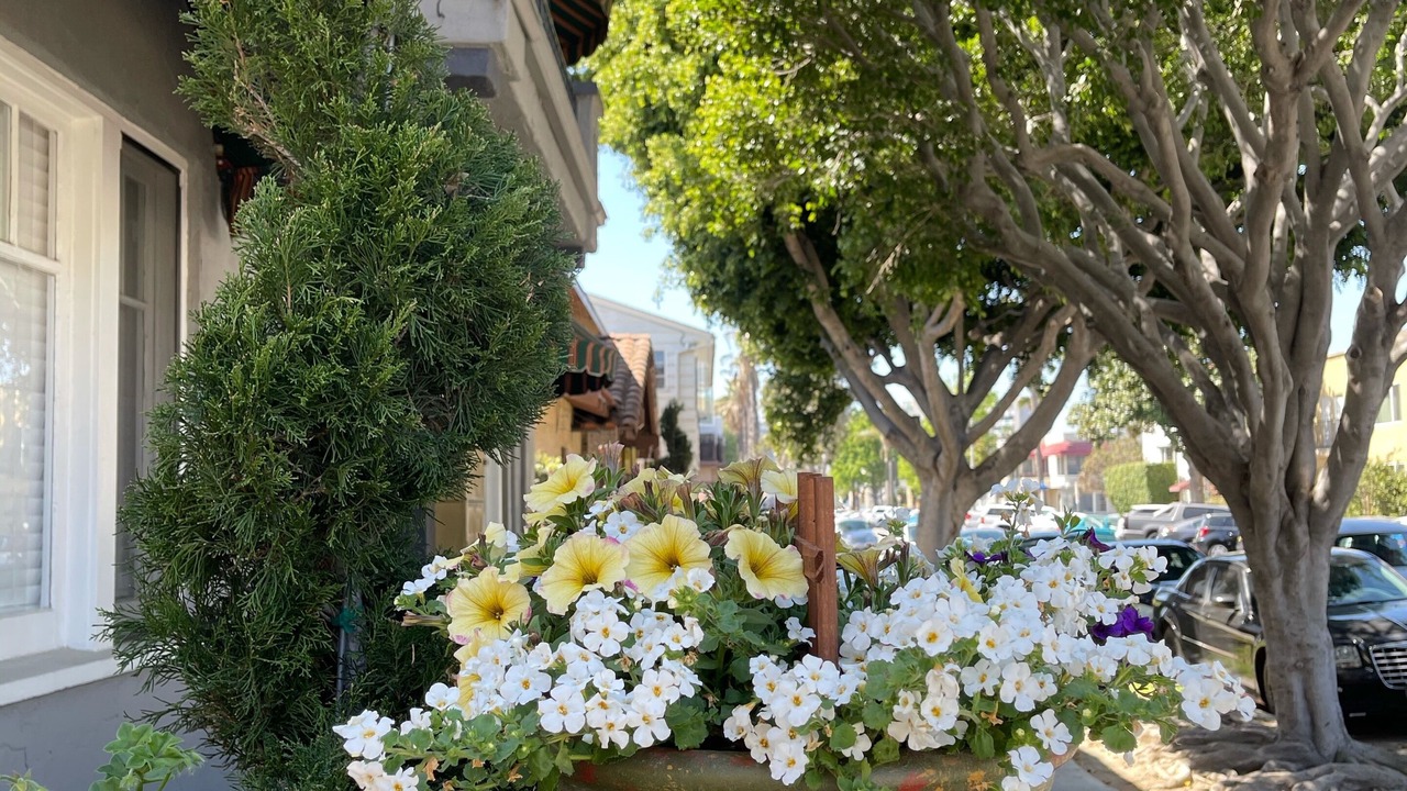 Photo of Outdoor in Alamitos Beach