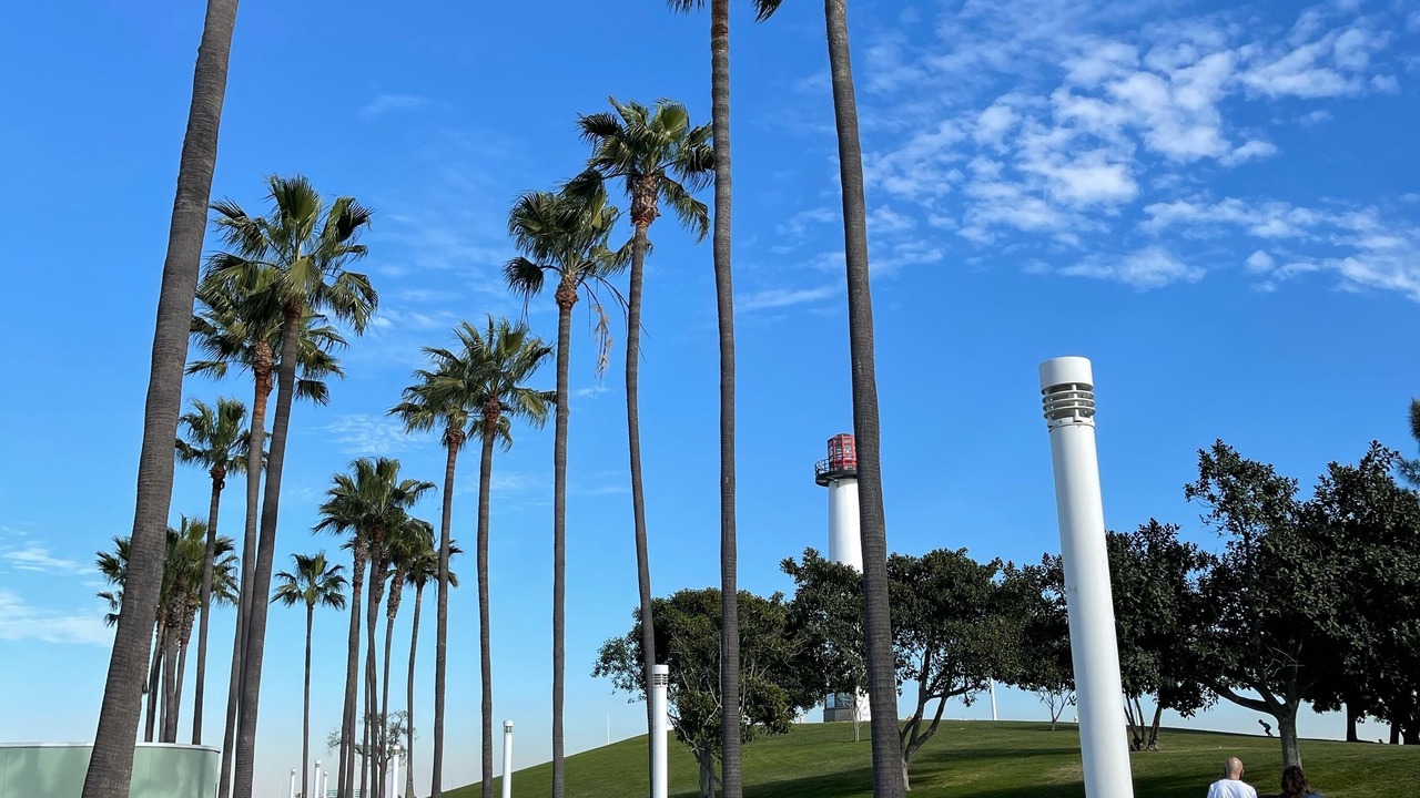 Photo of Outdoor in Alamitos Beach
