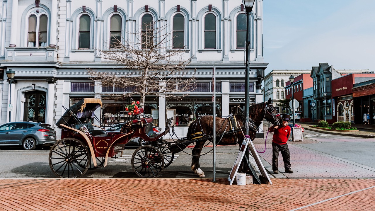Photo of Others in Old Town Eureka