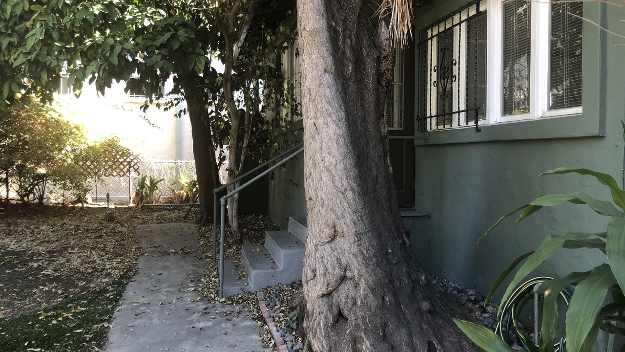 Photo of Outdoor in Larchmont