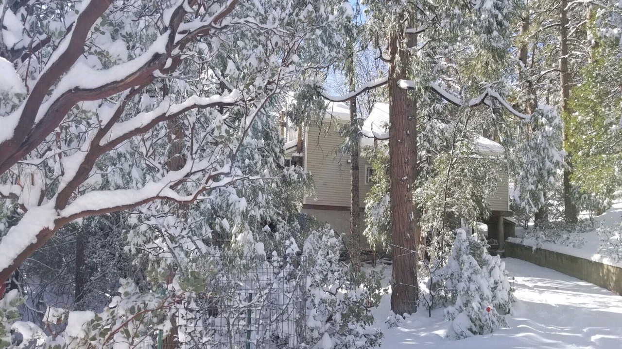 Photo of Outdoor in Pine Cove