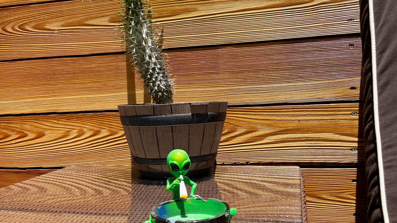 Photo of Outdoor in Hollywood