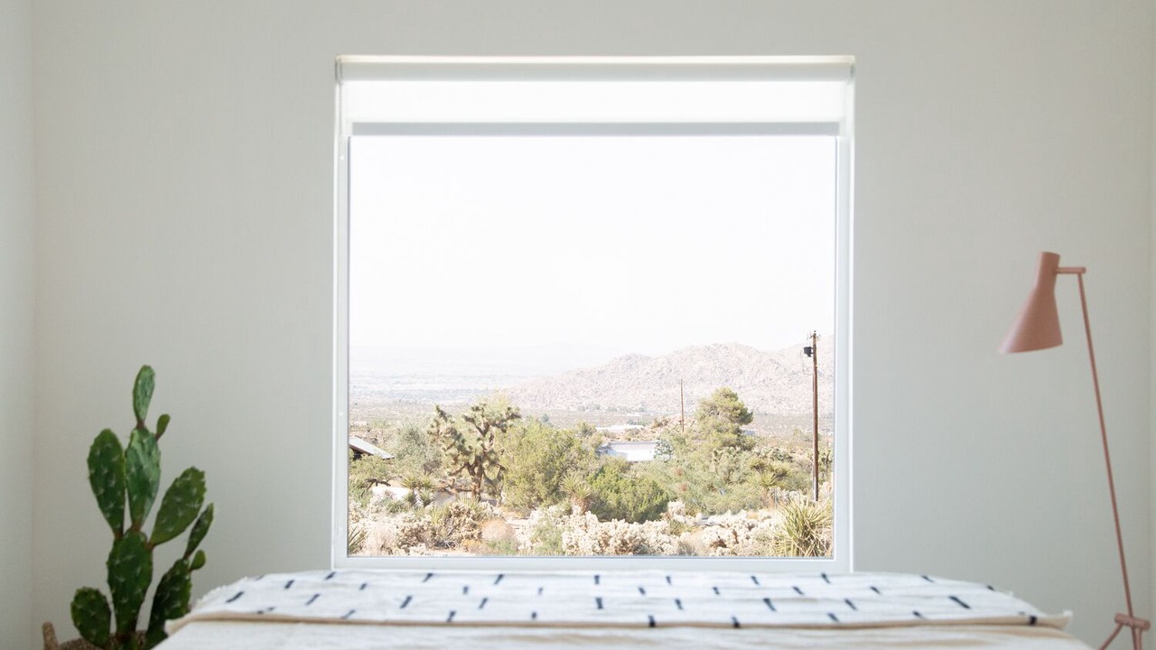 Photo of Others in Joshua Tree Highlands