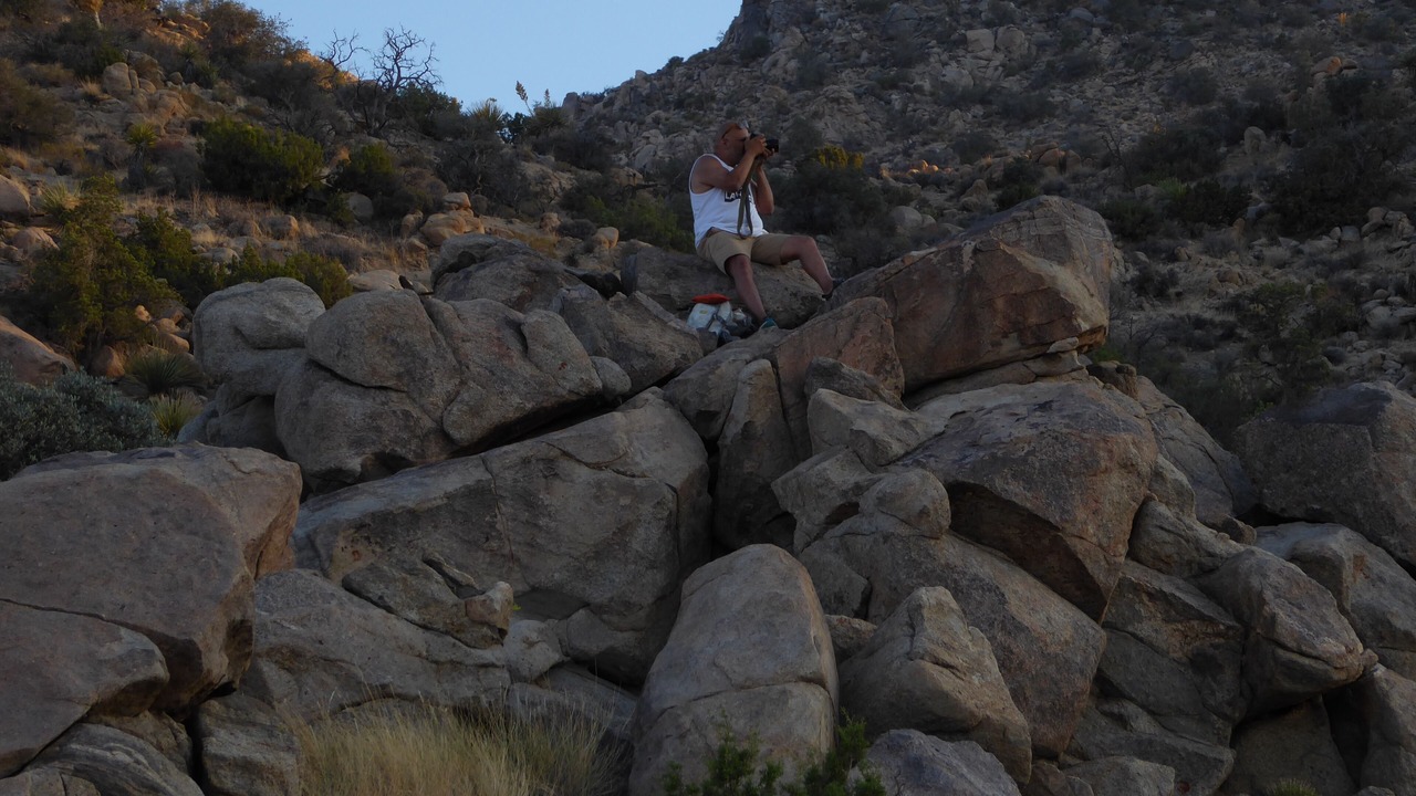 Photo of Others in Joshua Tree Highlands